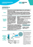 Lipoprotein (a)