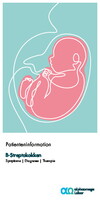 Flyer B-Streptokokken